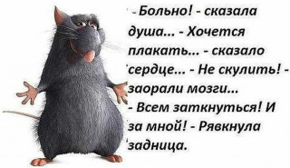i_6_30