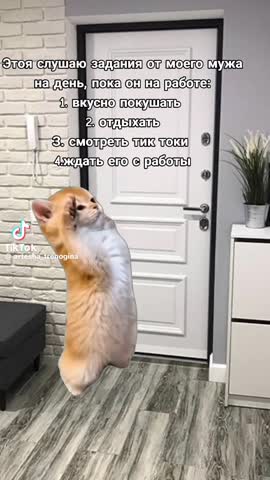 87379872bd22c0a6ed1a8199124401ca