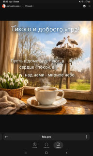 -Тихое-утро-