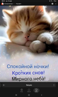 -Доброй-Ночки-