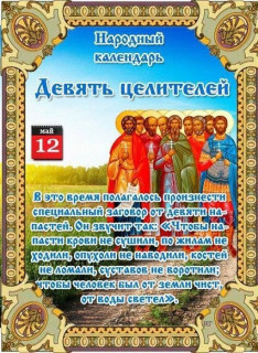 -9-целителей-