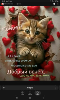 -Добрый-Вечер-