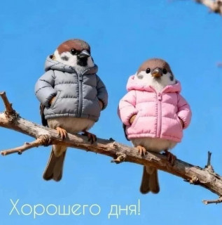 -Холодно-