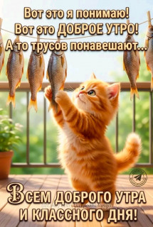 -Котик-и-рыбки-