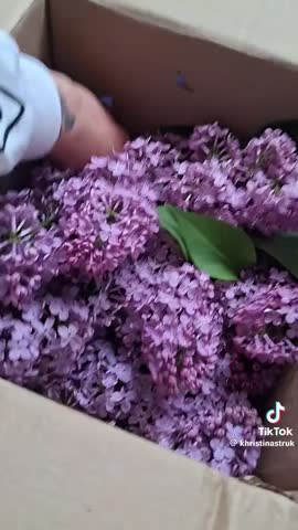 Щастя в дрiбницях