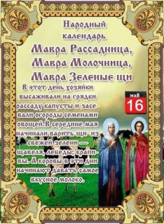 -Мавра-Зеленые-Щи-
