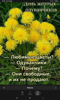 -Одуванчики-