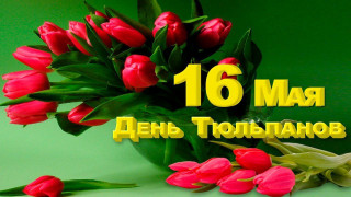 -Тюльпаны-