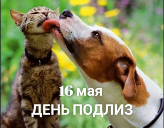 -День-Подлиз-