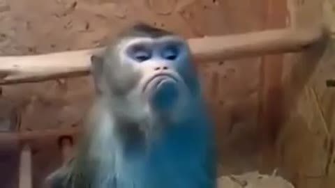 я_обиделась