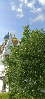IMG_20260516_165909