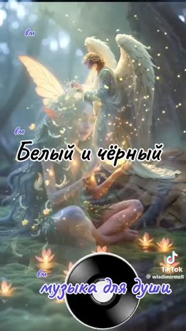 video_11749079782749