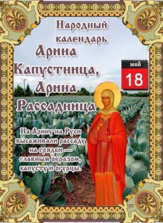 -Капустница-