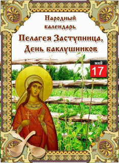 -Заступница-