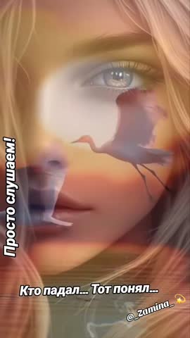 pinterest__1779284577543_Video_Full_HD