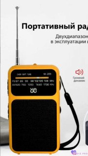 Foiz_PRO_-Радиоприемник-W-209-