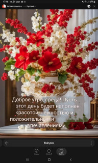 -Добрая-Среда-