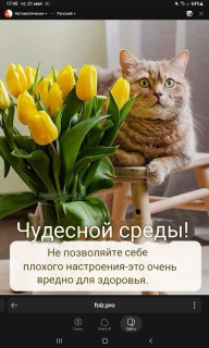 -Настроение-