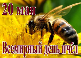 -День-Пчелки-