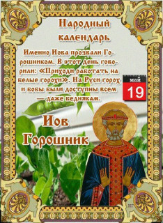 -Горошник-