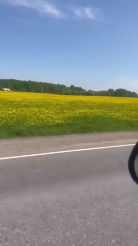 VID_20260522_205142