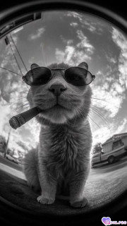 -347310-Покурим-