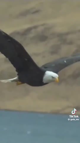 b721c26a384448ad7453ee687b3f6a05