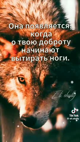 af32bc8008aba3a784cf19559fb1e199