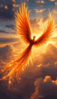 птица-феникс-phoenix-bird_1