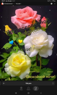 -Доброй-Ночки-