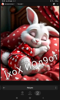 -Хох-
