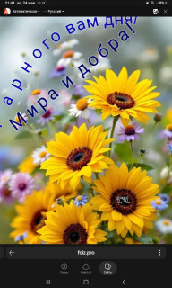 -Мира-и-Добра-
