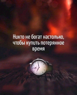 1779667335066