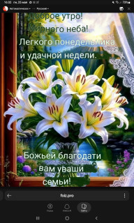 -Неделя-