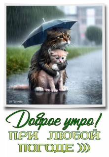-Под-Зонтиком-