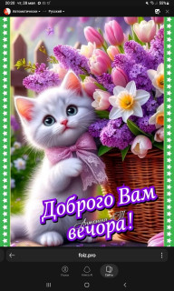 -Добрый-Вечер-