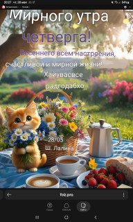 -Мирное-утро-