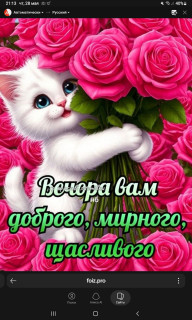 -Мирный-Вечер-