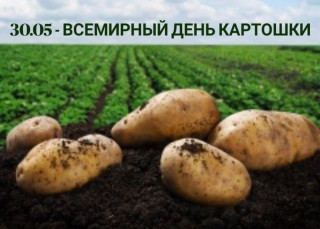 -День-картошки-