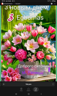 -Доброго-Ситонина-