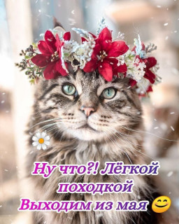 -Выходим-из-Мая-