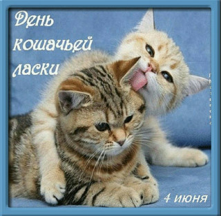 -День-Ласки-