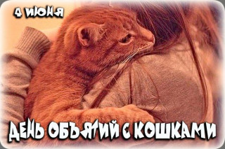 -День-Объятий-