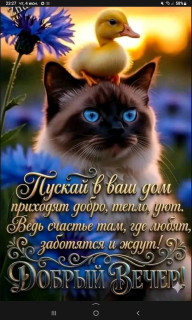 Счастье-в-Тишине-
