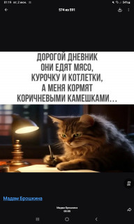 -Дневник-