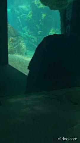 2026-06-04-153526918_4uahBJrX