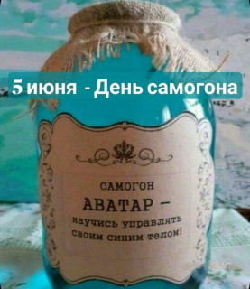 -День-Самогона-
