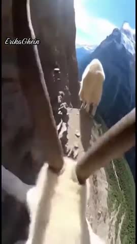 video_15229699689055