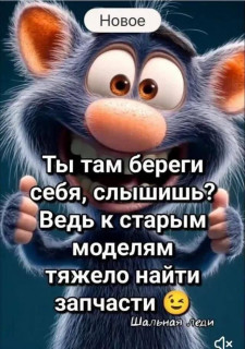 689a15c509a19a95d47204643beb5a81