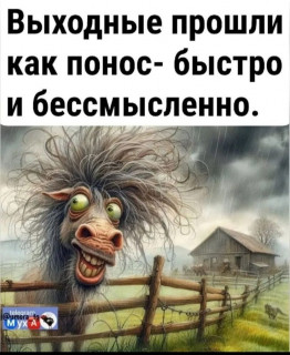 f0b34593369e03d05ee7e926a396c80a